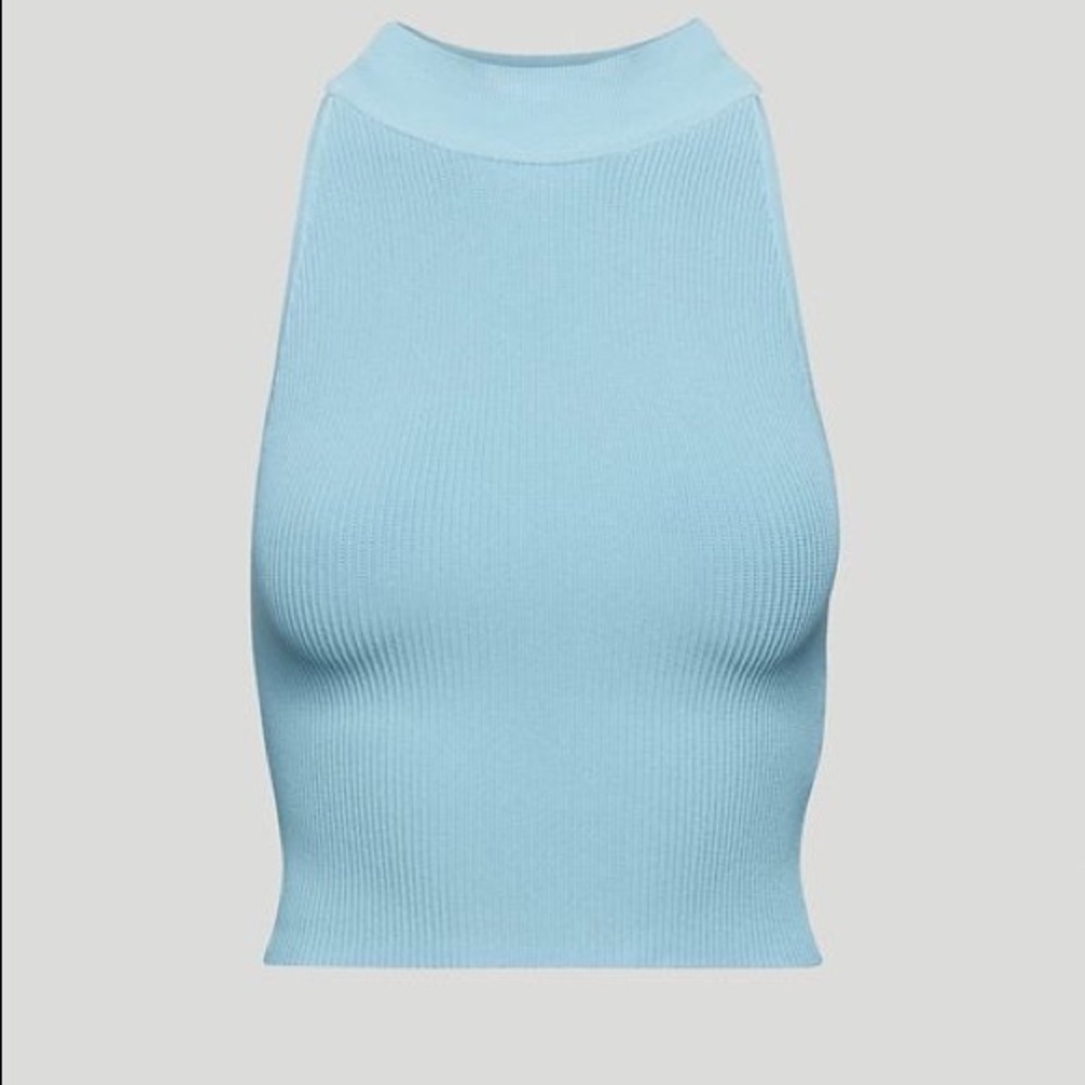 Aritzia Babaton Sculp Knit Halter Top